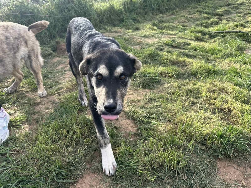 Hi, ich bin die clevere Sally!