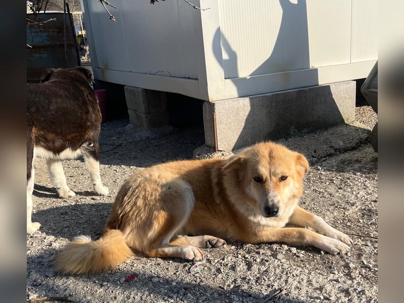 Blanca – sanfte Beobachterin mit großem Herz