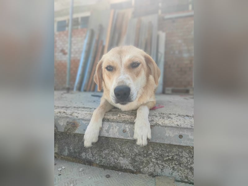 Blanca – sanfte Beobachterin mit großem Herz