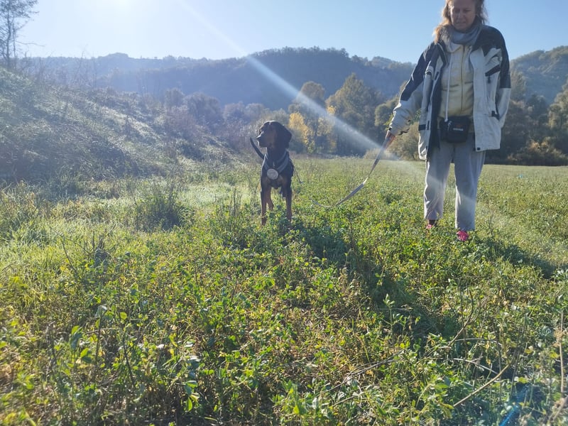 Carlo - ein sanftes Herz sucht sein Glück