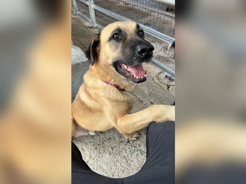 Nikon – Lebensfreude auf drei Beinchen