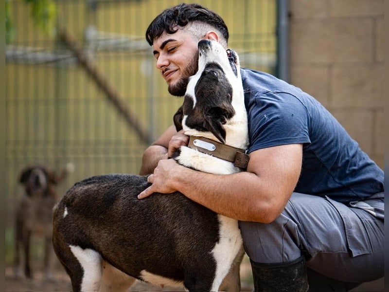 Oca – treue Schmusehündin mit großem Herzen