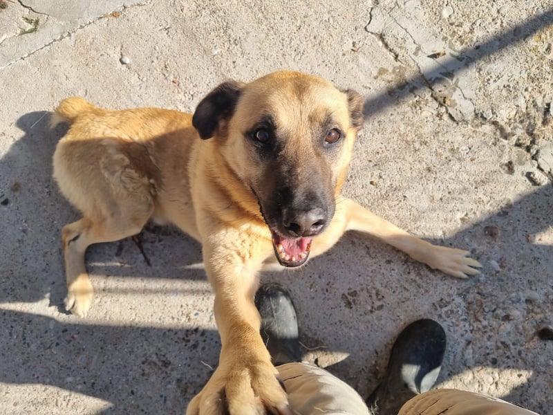 Nikon – Lebensfreude auf drei Beinchen