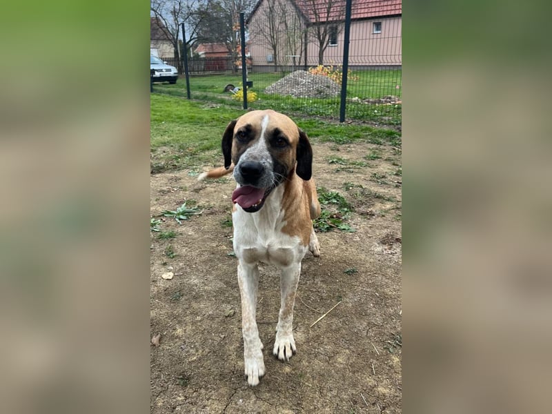 menschenbezogene Kiara