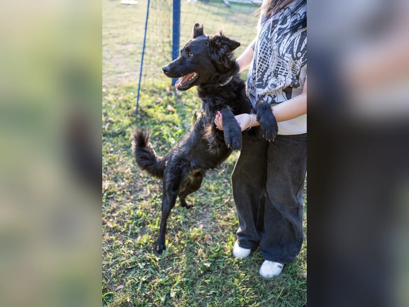 Energiebündel Gustav