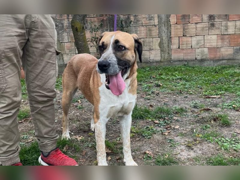 menschenbezogene Kiara