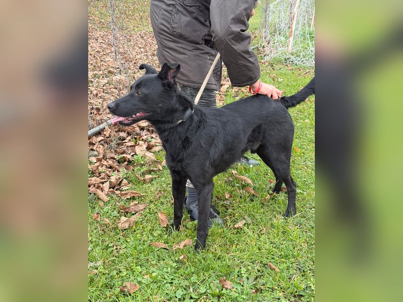 fröhlicher Wirbelwind Riki