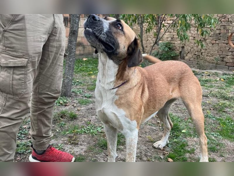 menschenbezogene Kiara