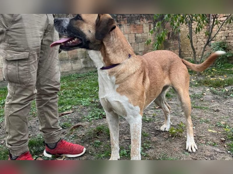 menschenbezogene Kiara