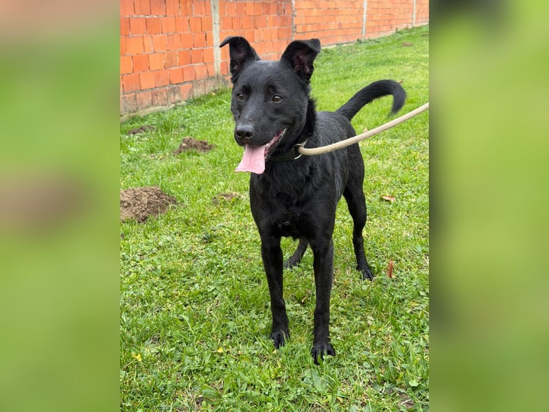 fröhlicher Wirbelwind Riki