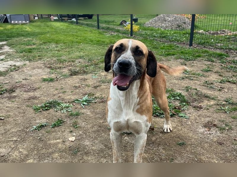 menschenbezogene Kiara