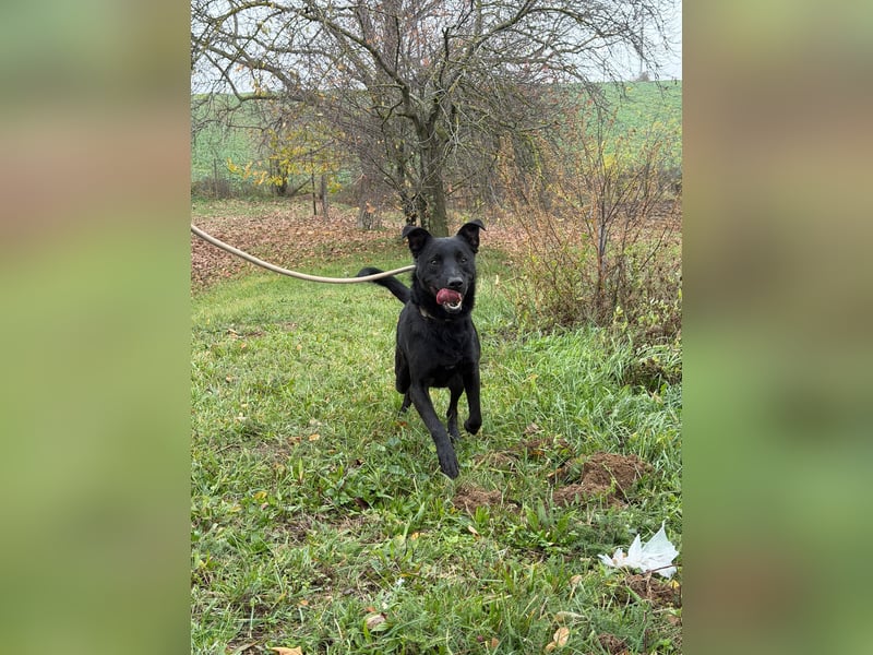 fröhlicher Wirbelwind Riki