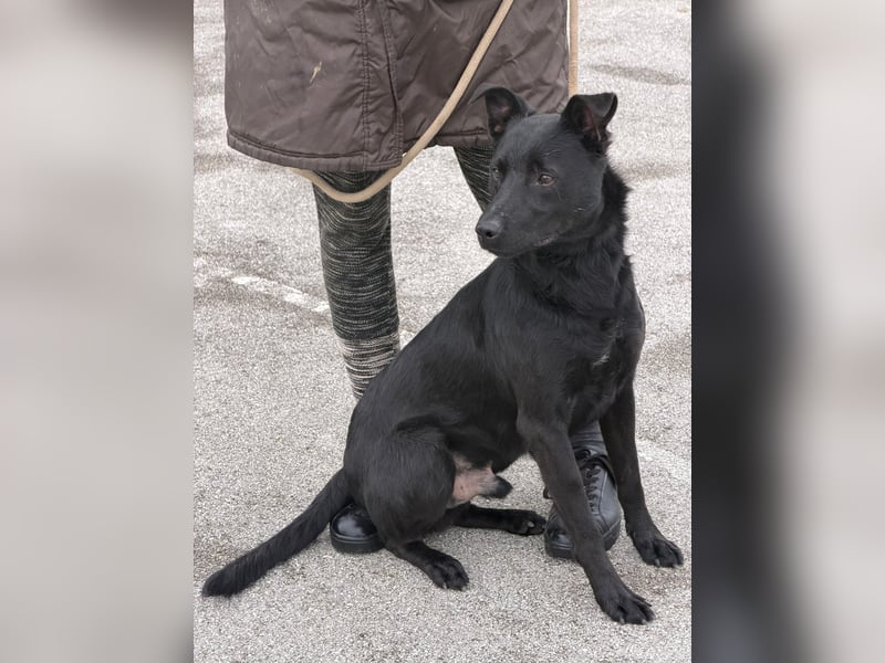 fröhlicher Wirbelwind Riki