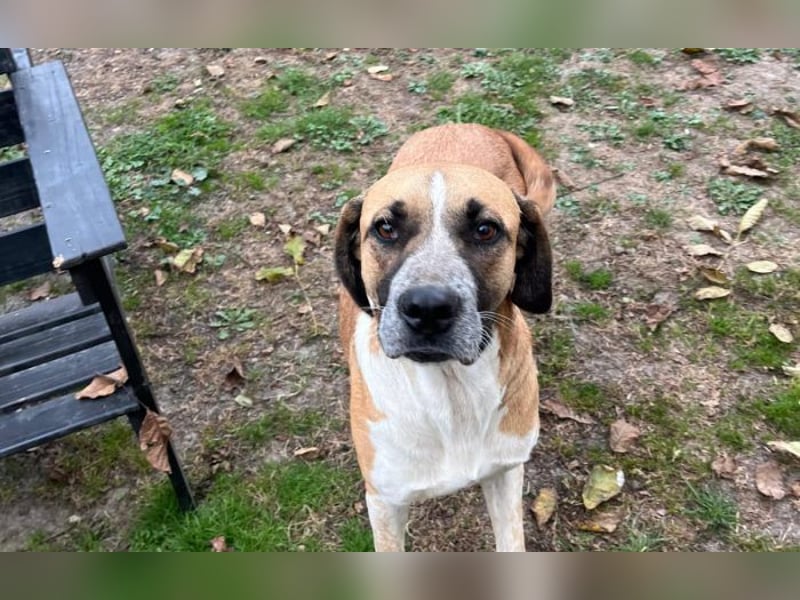 menschenbezogene Kiara