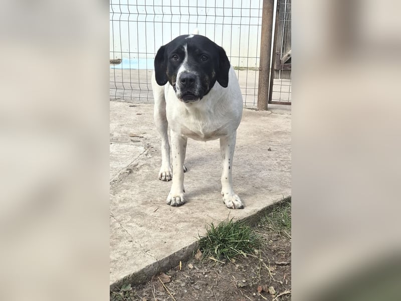 EMIL wünscht sich eine liebe Familie