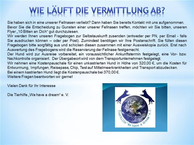 LUCY wünscht sich ein liebes Zuhause