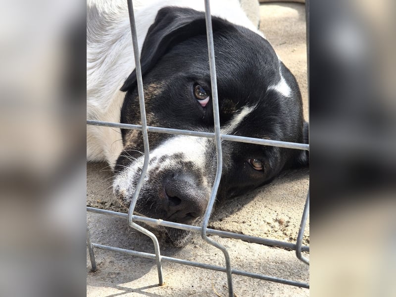 EMIL wünscht sich eine liebe Familie