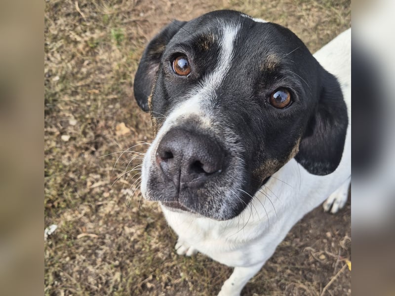 EMIL wünscht sich eine liebe Familie