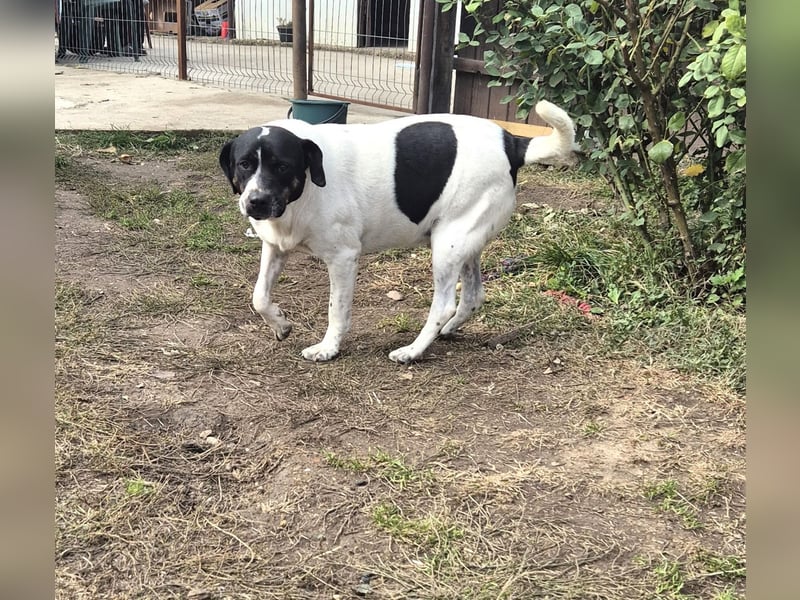 EMIL wünscht sich eine liebe Familie