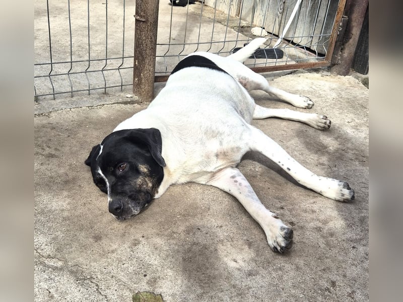 EMIL wünscht sich eine liebe Familie