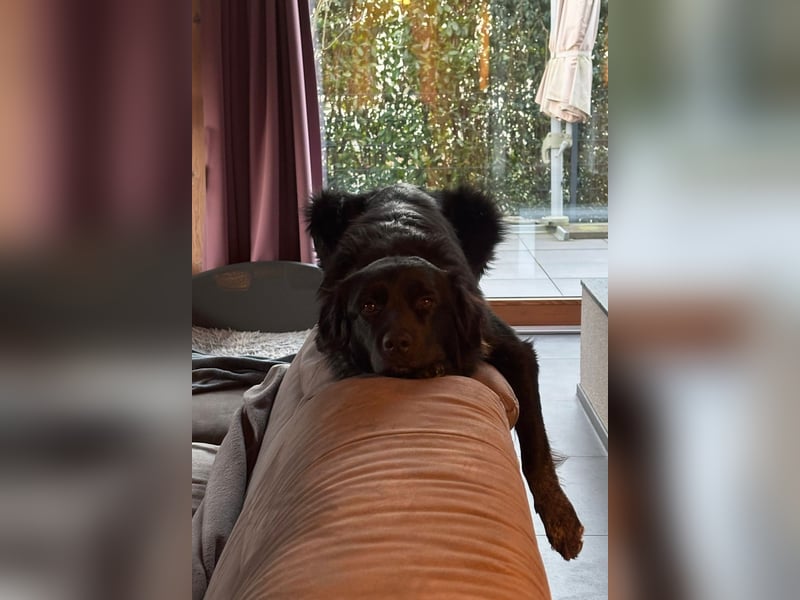 ❤️ Johnny Pflegefamilie 41812 Erkelenz