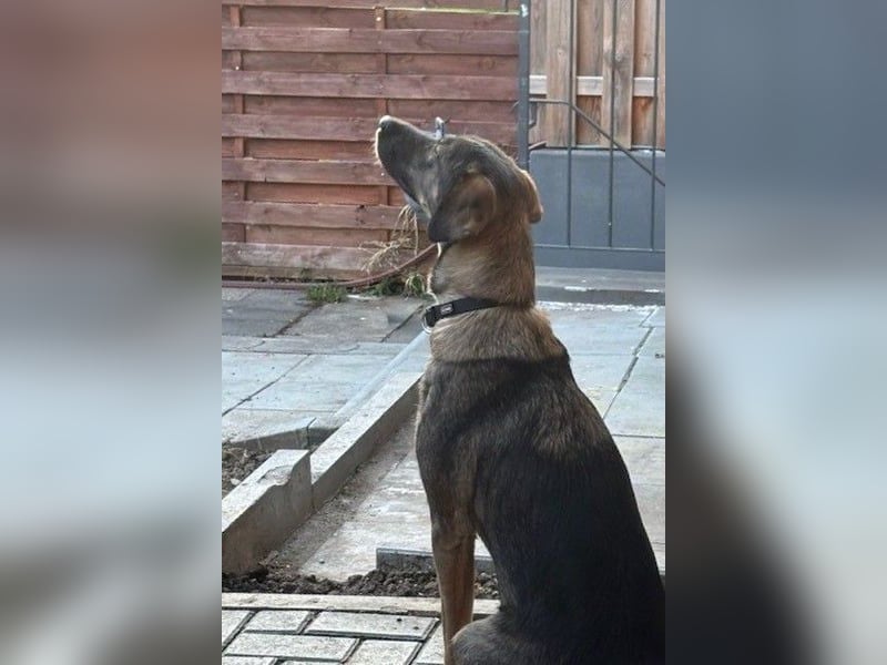 Kassandra – vorsichtige Schönheit sucht ihren Herzensmenschen