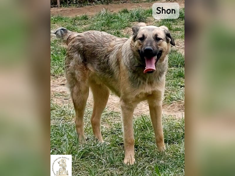 Shon – einmal lächeln, einmal verlieben, dann gemeinsam los ins Abenteuer!