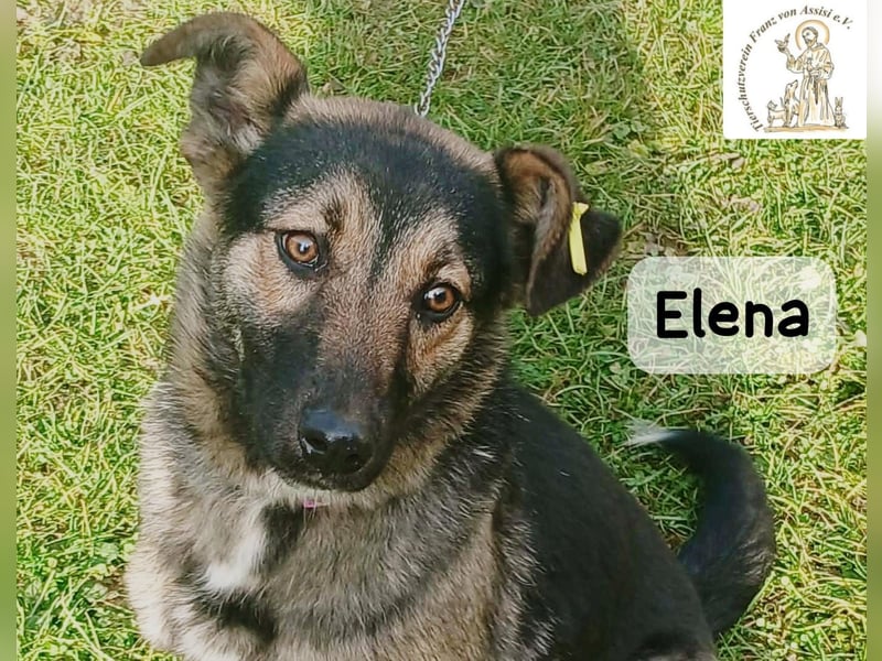Elena – so sanft, als hätte sie das Leben schon verstanden!