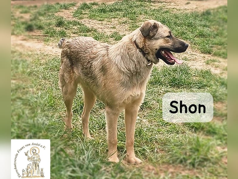 Shon – einmal lächeln, einmal verlieben, dann gemeinsam los ins Abenteuer!