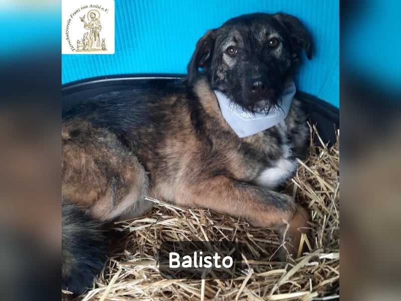 Balisto – vorsichtig? Ja. Langweilig? Ganz sicher nicht!