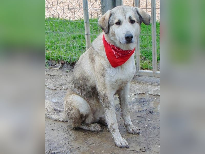 Blaire ist sehr zutraulich und spielt für ihr Leben gern