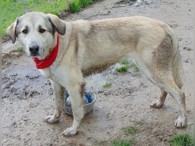 Blaire ist sehr zutraulich und spielt für ihr Leben gern