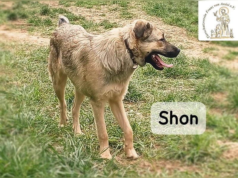 Shon – einmal lächeln, einmal verlieben, dann gemeinsam los ins Abenteuer!