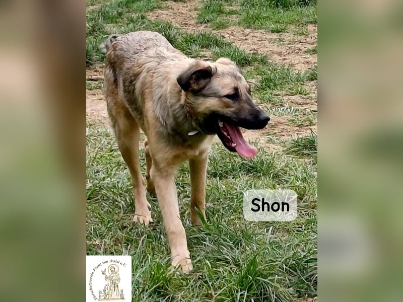 Shon – einmal lächeln, einmal verlieben, dann gemeinsam los ins Abenteuer!