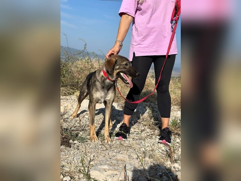 Kassandra – vorsichtige Schönheit sucht ihren Herzensmenschen