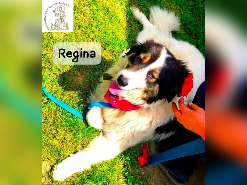 Regina – sie wollte nie allein sein!