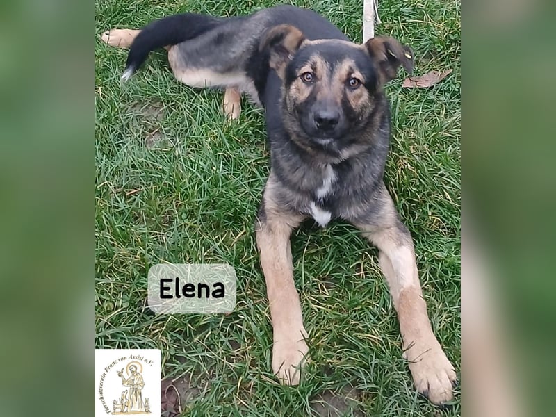 Elena – so sanft, als hätte sie das Leben schon verstanden!