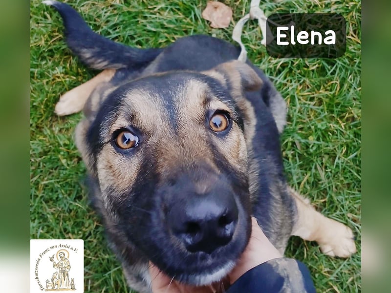 Elena – so sanft, als hätte sie das Leben schon verstanden!