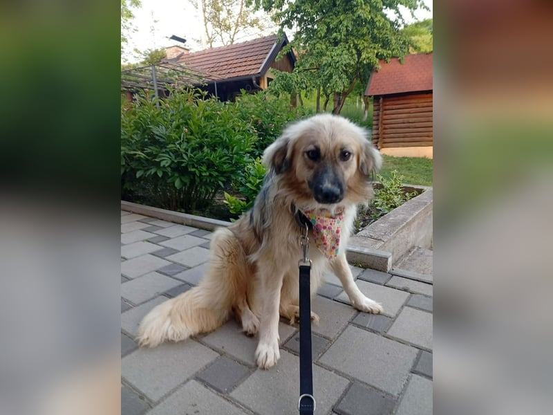 Malta – eine Lady auf dem Weg ins neue Leben!