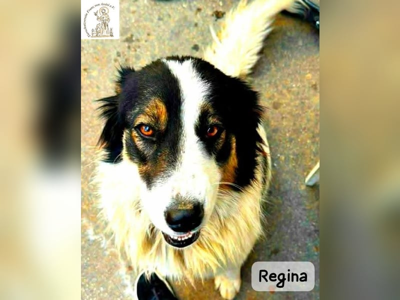 Regina – sie wollte nie allein sein!