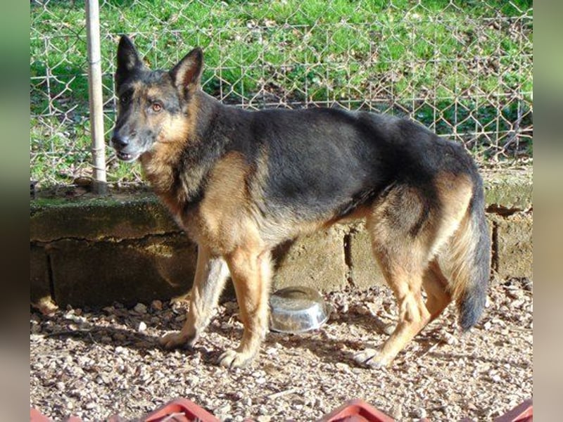 Billy braucht ein wenig Geduld und viele Leckerchen