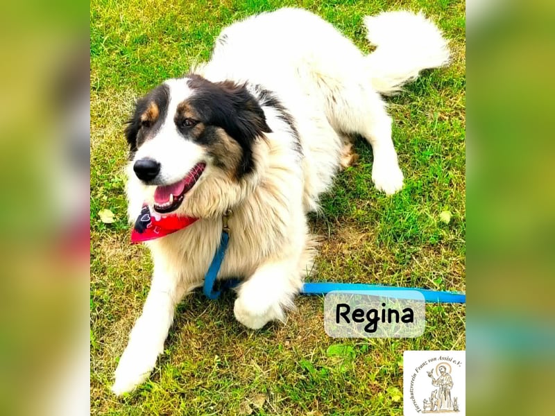 Regina – sie wollte nie allein sein!