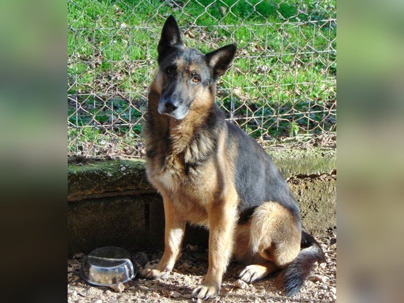 Billy braucht ein wenig Geduld und viele Leckerchen