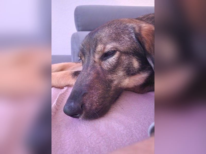 Kassandra – vorsichtige Schönheit sucht ihren Herzensmenschen