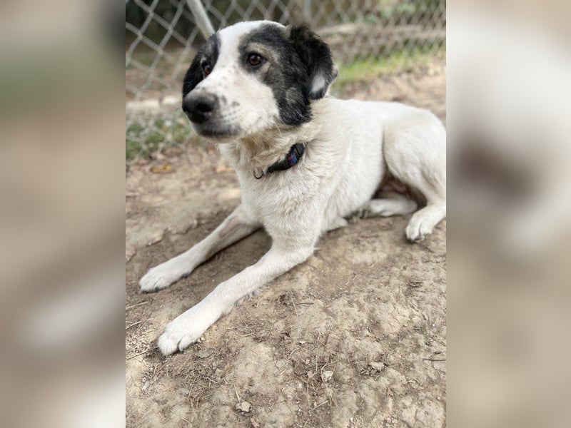 Bianca ist sehr freundlich