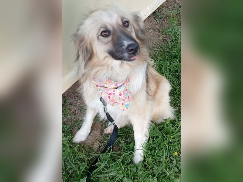 Malta – eine Lady auf dem Weg ins neue Leben!
