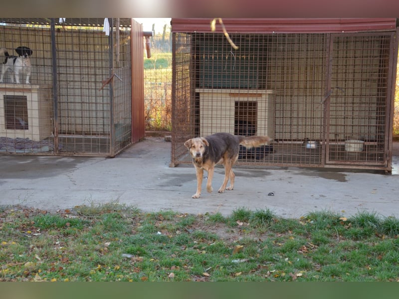 Notfall Senior sucht seine Menschen