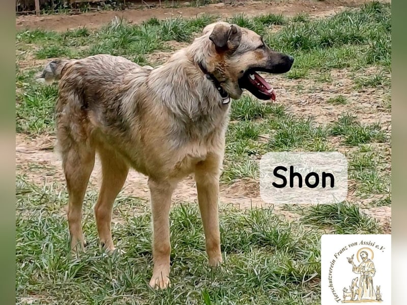 Shon – einmal lächeln, einmal verlieben, dann gemeinsam los ins Abenteuer!