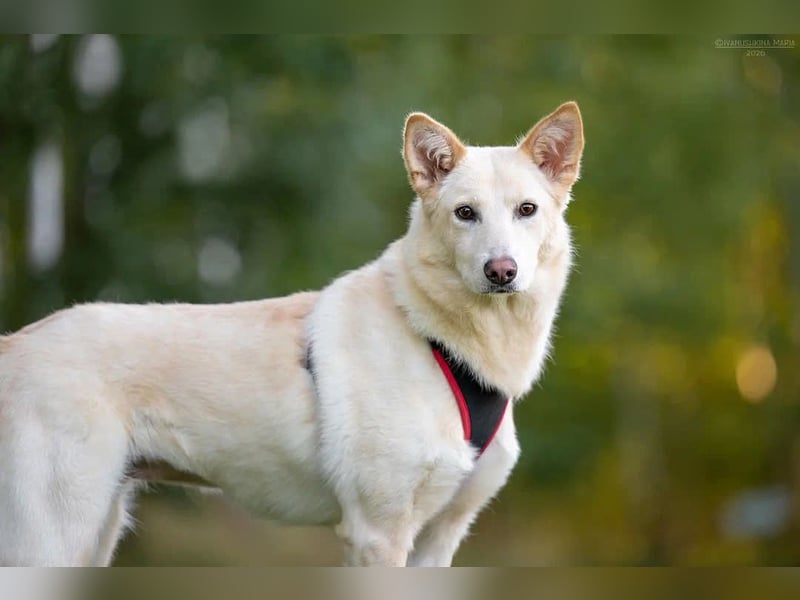 Soziale Grace sucht ihre Familie