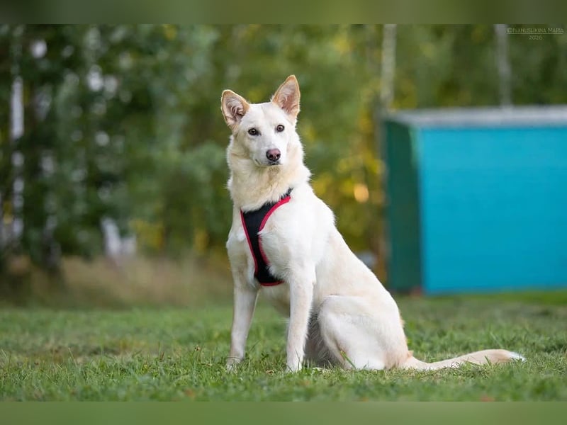 Soziale Grace sucht ihre Familie